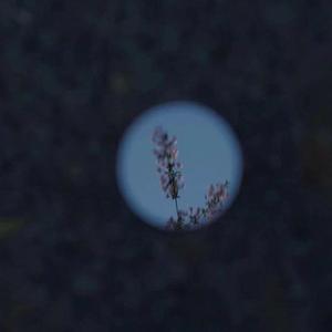 亚洲精品国产精品99久久
