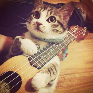 亚洲精品国产精品99久久
